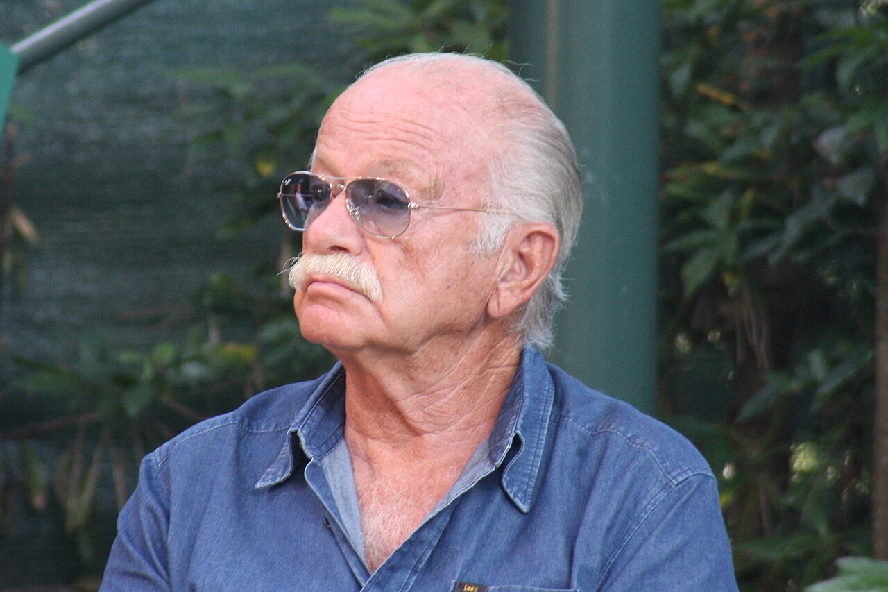 Gino Paoli morte — Addio a Gino Paoli: la musica italiana piange il maestro della canzone d'autore