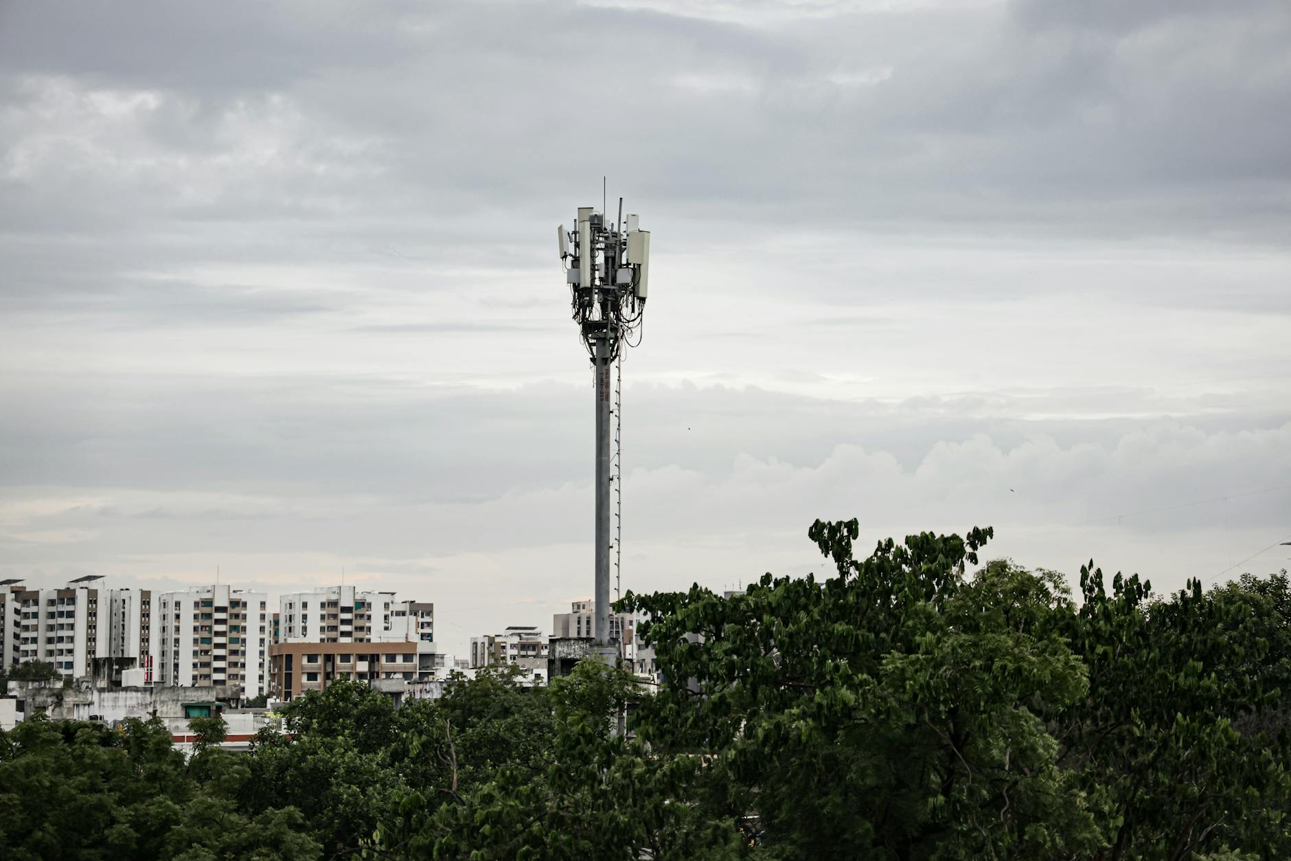 Inwit bilancio 2025 — Cell tower rising above trees with urban high-rise buildings under a cloudy sky.