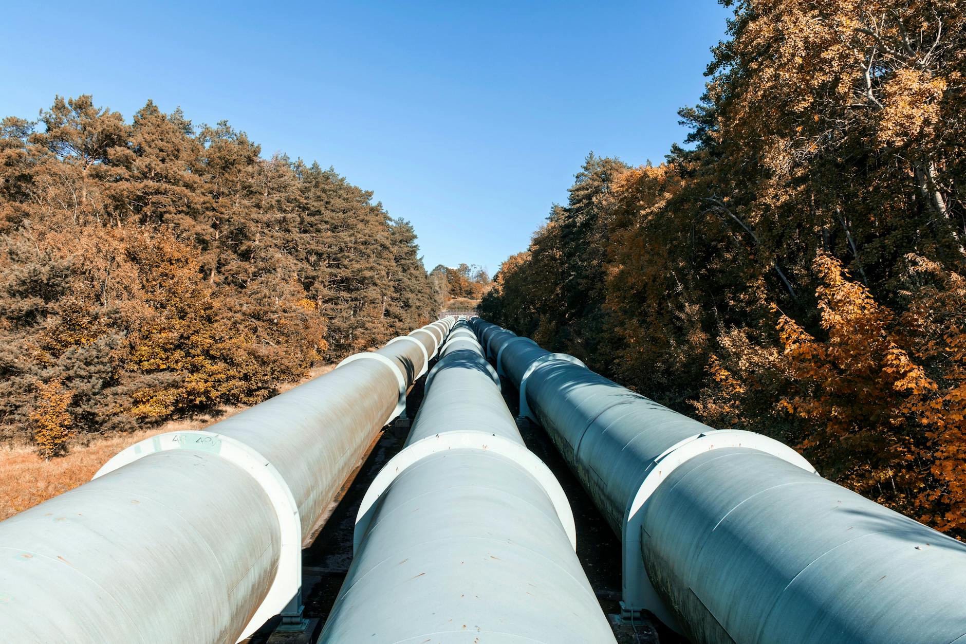 acquisto centralizzato energia — Large pipelines meandering through a colorful autumn forest, showcasing sustainable energy transport.