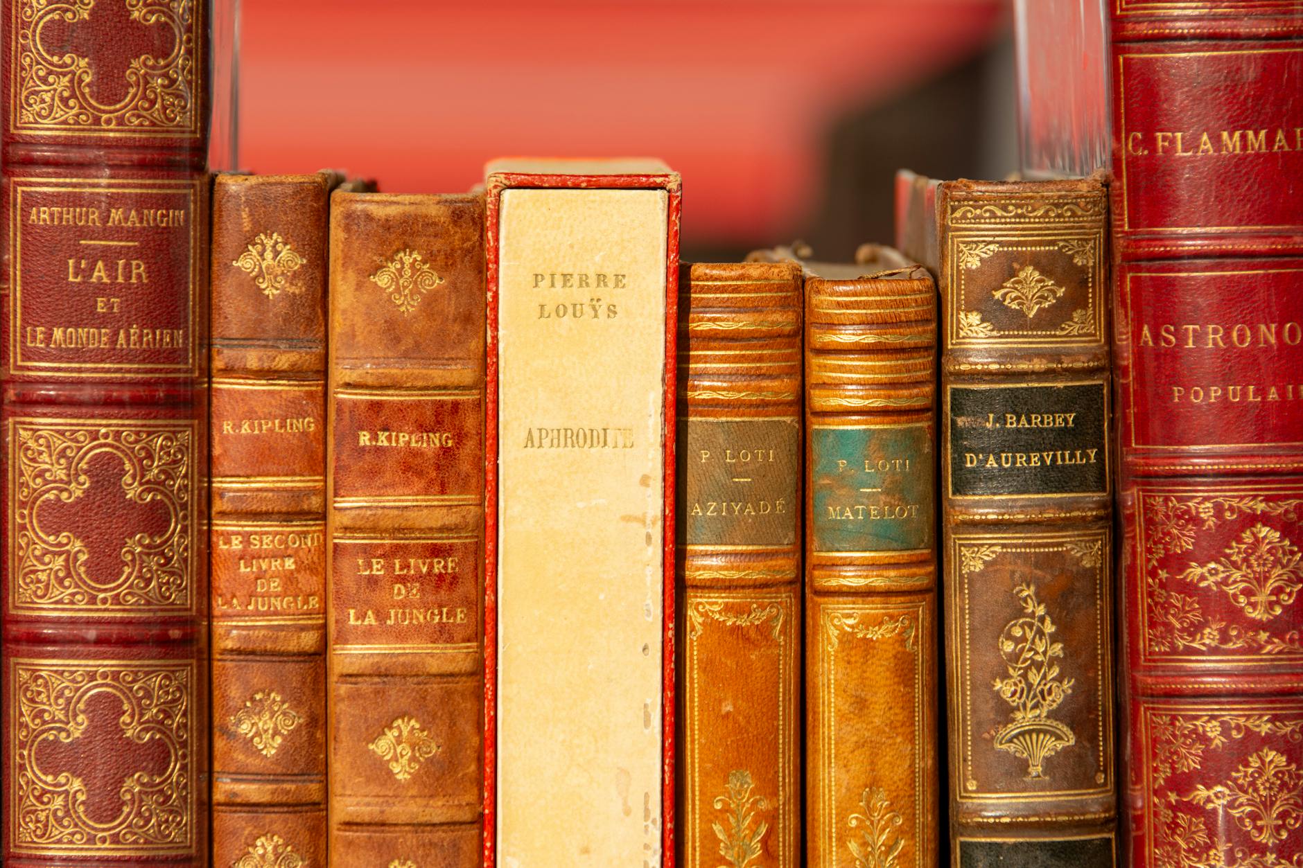 letteratura mondiale — A row of classic leatherbound books with ornate covers and titles displayed on a shelf.