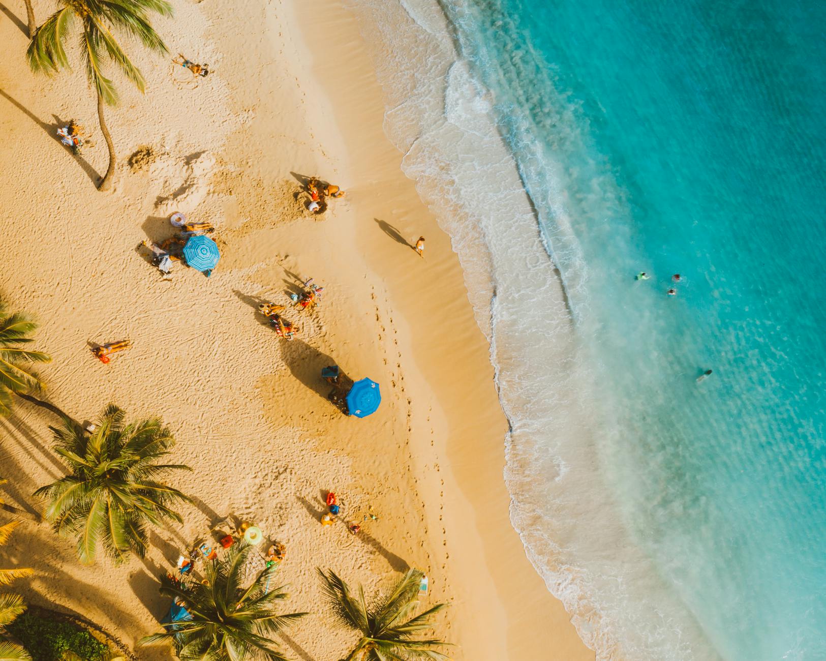 voli Maldive — A picturesque tropical beach captured from above with clear turquoise water, palm trees, and beach umbrellas.