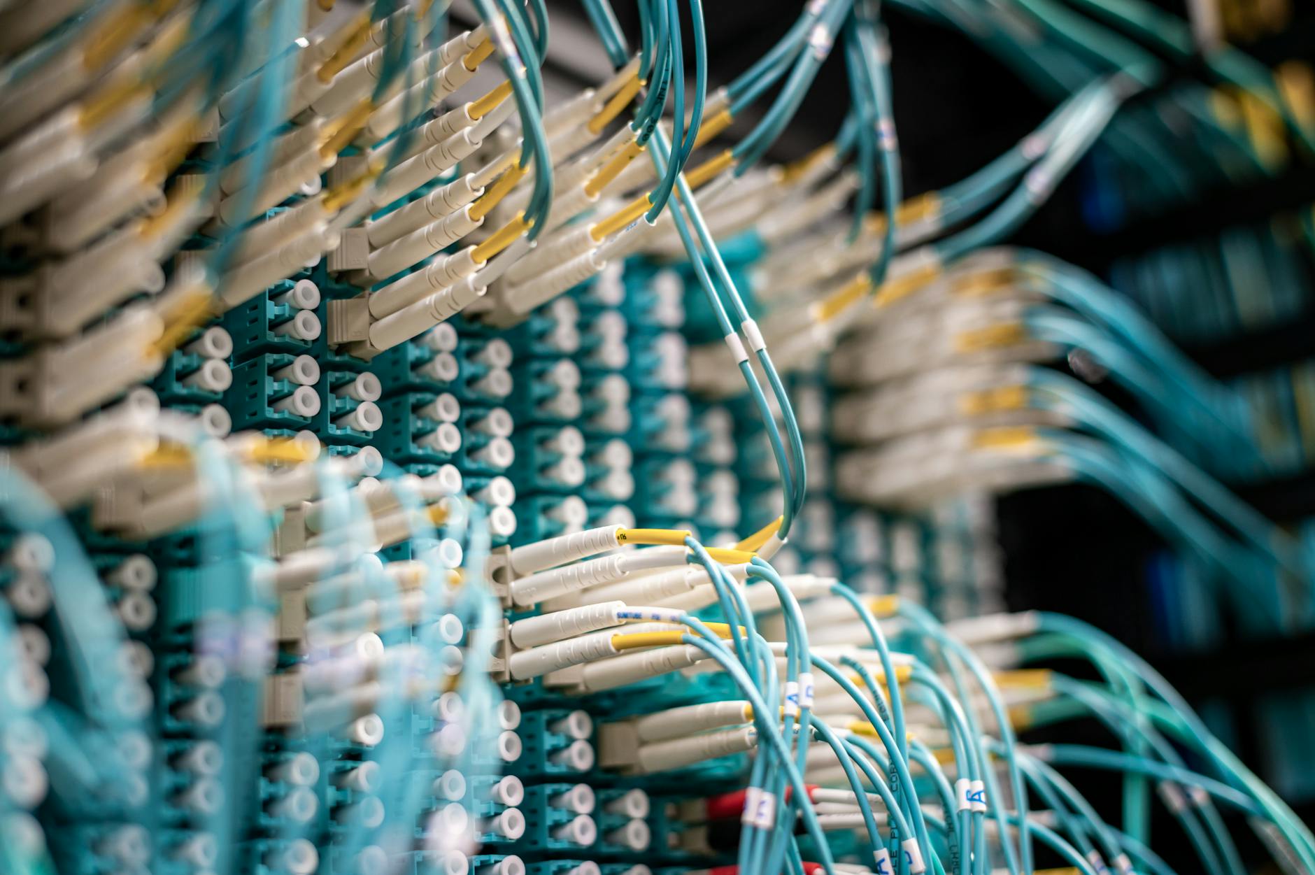 banda ultralarga — From below of fiber optic switch with sockets and connected rubber cables on blurred background