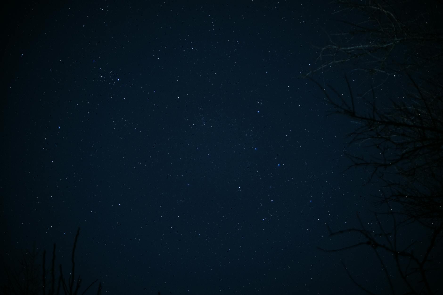 previsioni astrali 22 aprile — Beautiful starry night sky captured with silhouetted trees, offering a serene astronomical view.