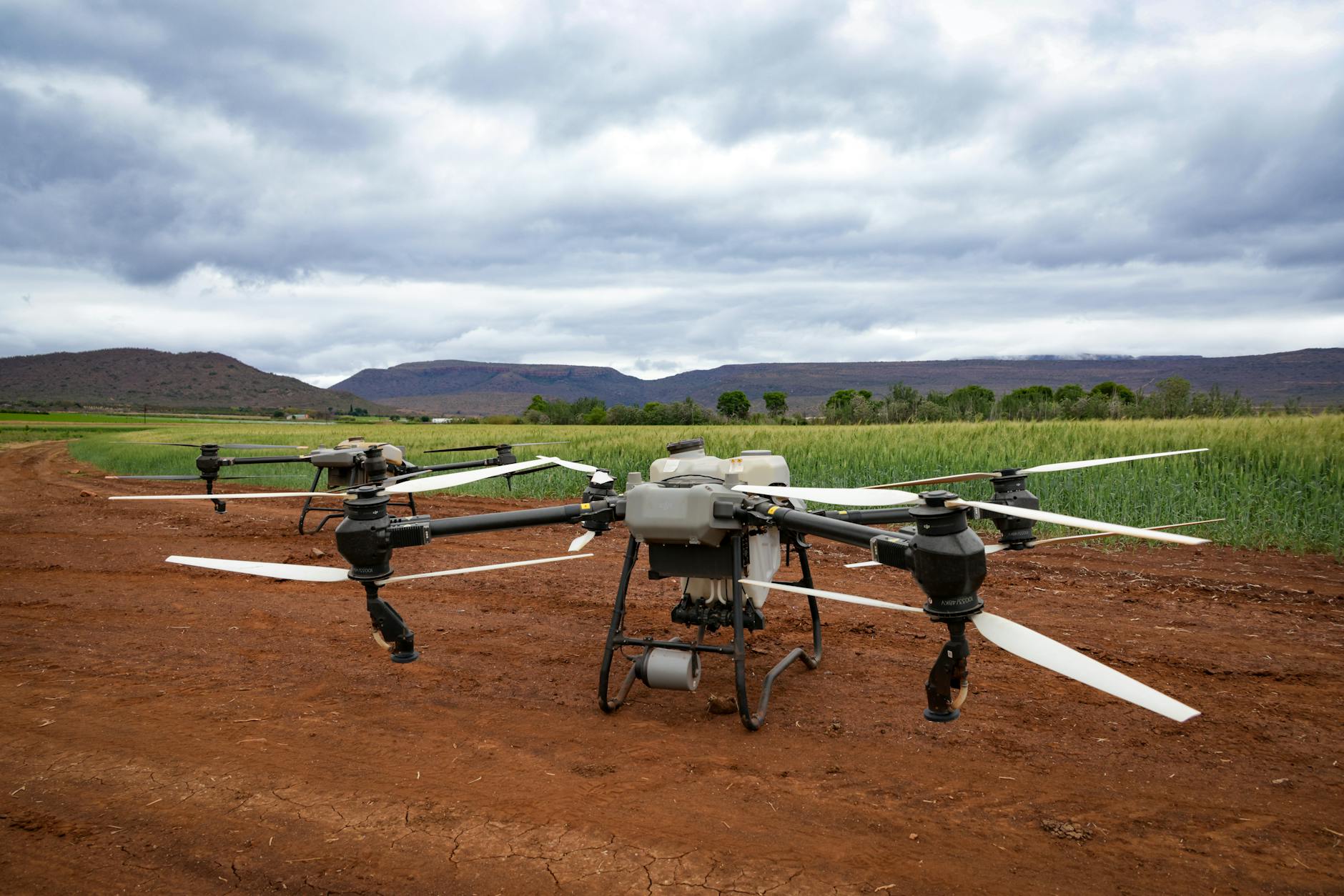 partecipazione italiana SIAM — Aerial drones in a field, showcasing modern agricultural technology and landscape.