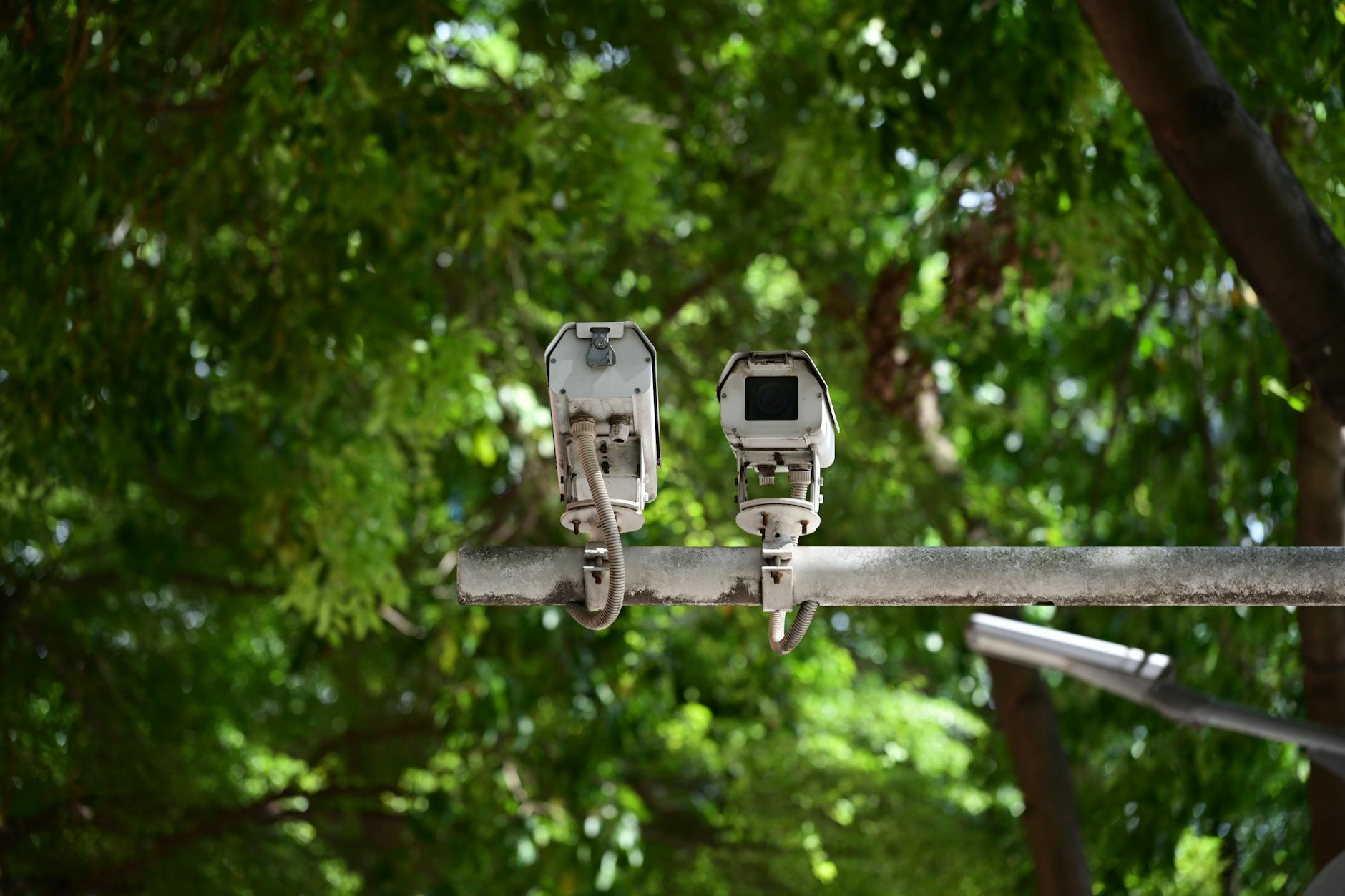 sparatoria 25 aprile — Outdoor security cameras mounted on a pole against lush green foliage.