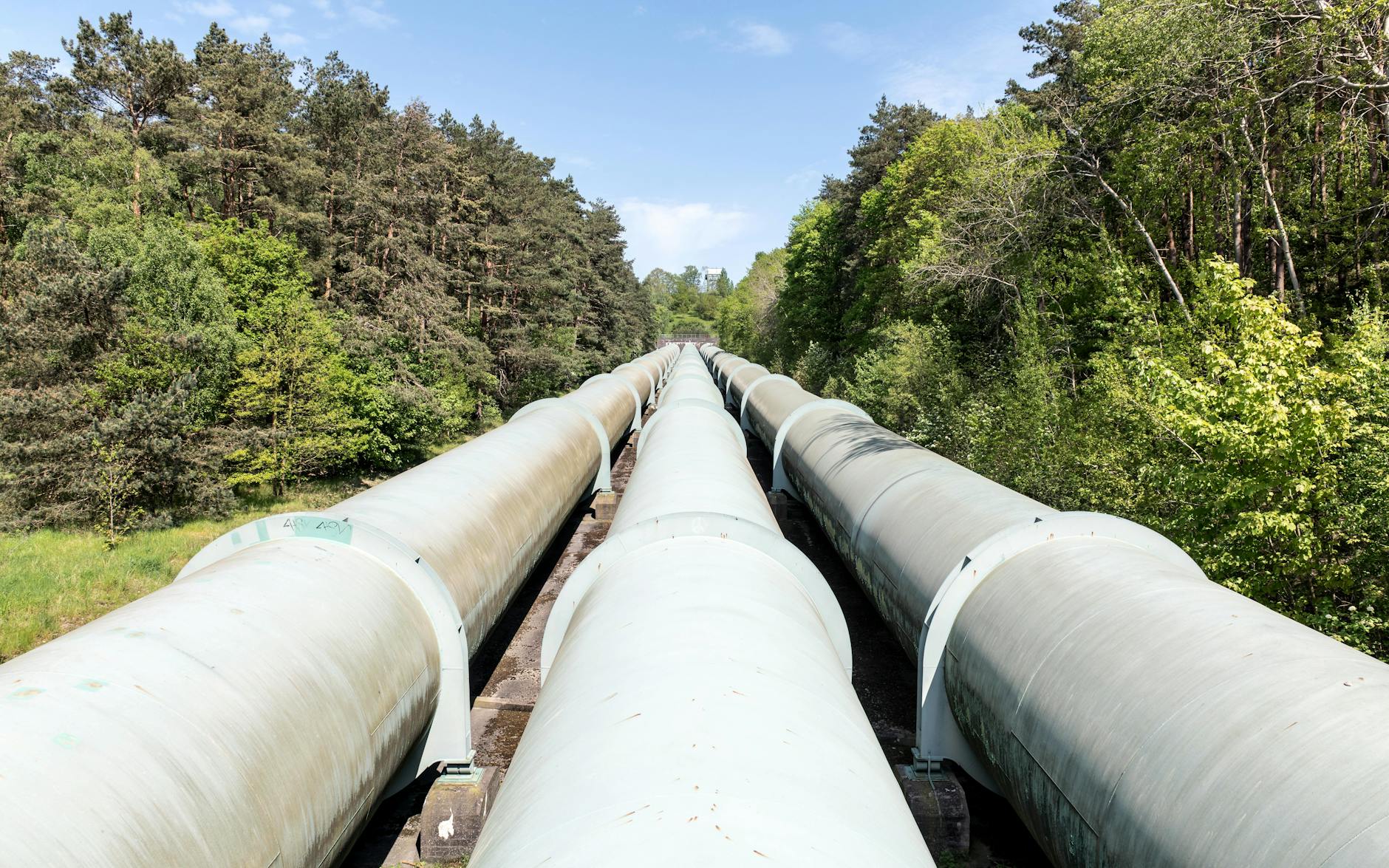 sistema ETS europeo — Large industrial pipeline traversing through a green forest in Geesthacht, Germany.