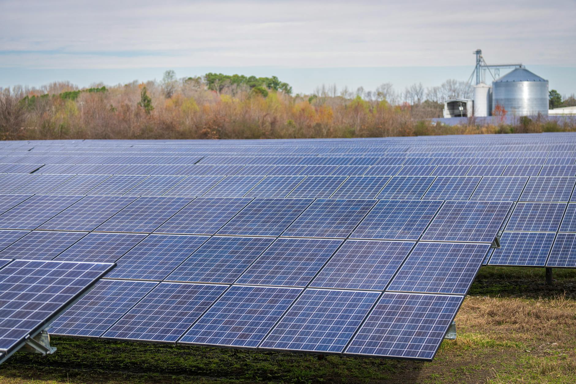 rinnovabili strategia Italia — A large field of solar panels capturing renewable energy under a clear sky.