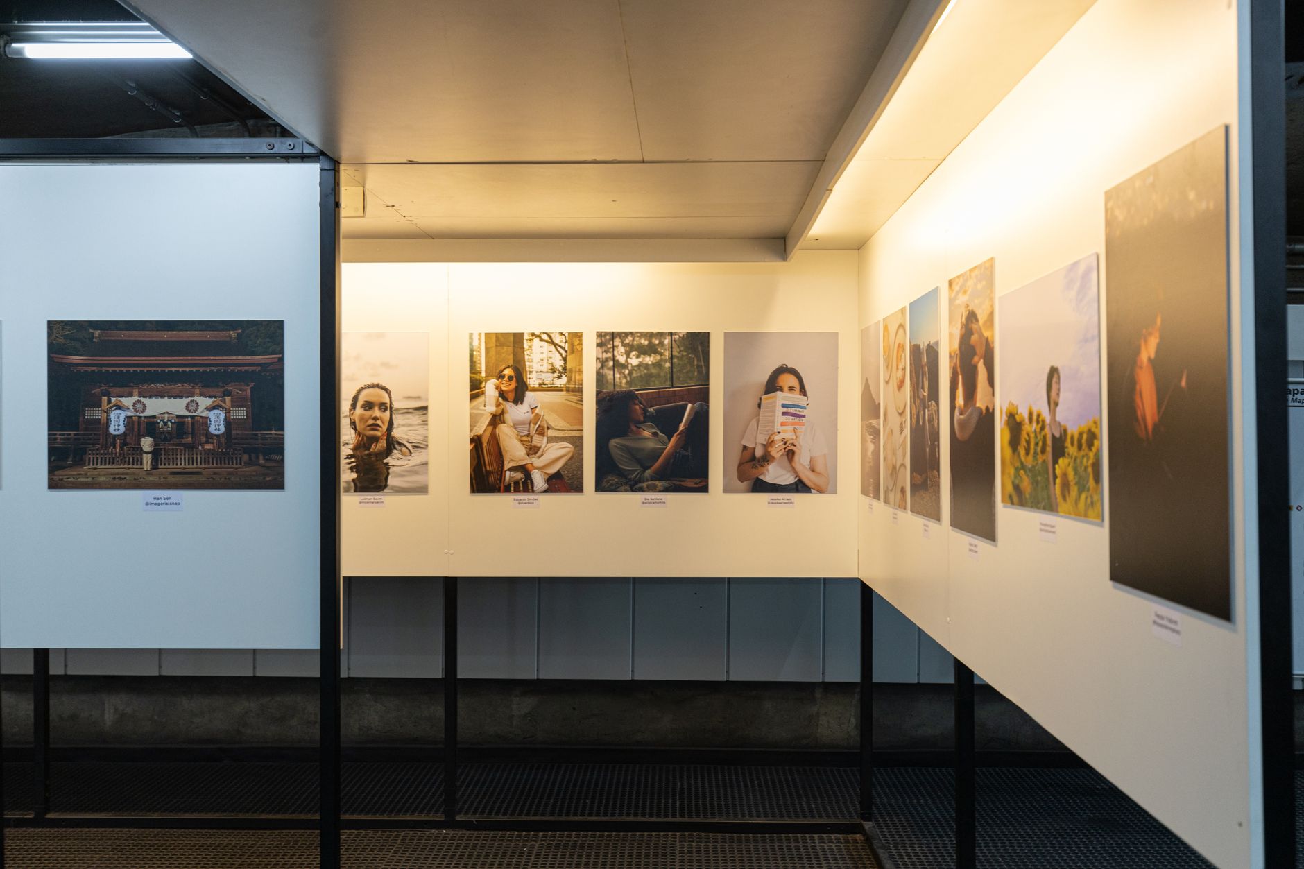 mostra fotografica Shine On — A thoughtful display of diverse photographs in a well-lit gallery exhibit.