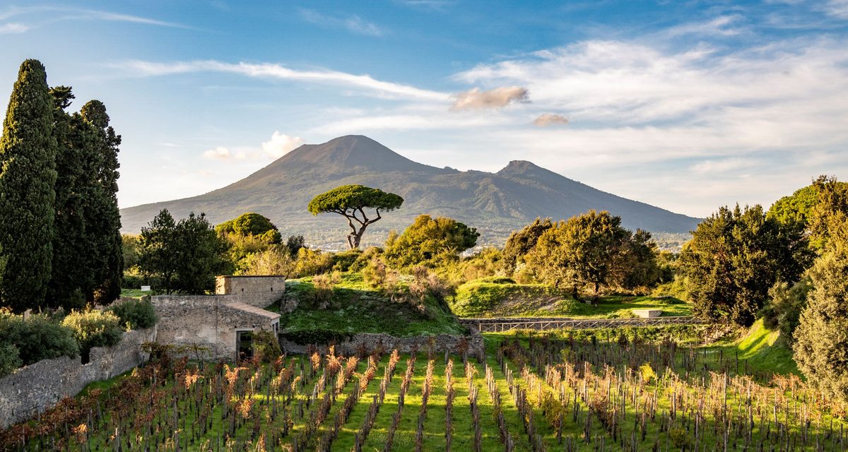 FESTA DEL VINO A POMPEI
