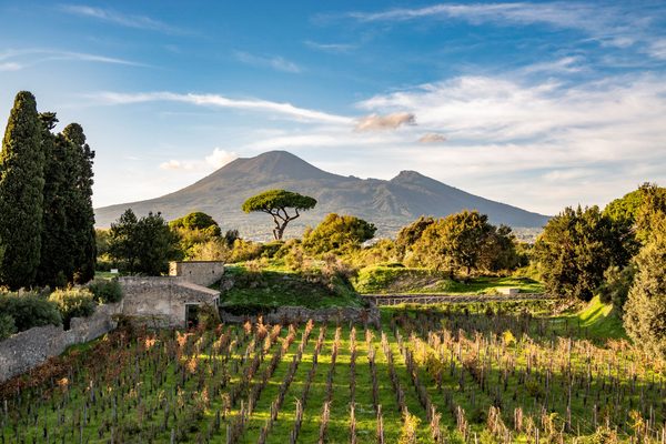 FESTA DEL VINO A POMPEI